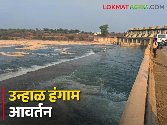 Latest news Nashik Irrigation Department calling for applications for availing water for summer season | Water Crisis : शेतकरी, पाणीवापर संस्थांना उन्हाळ हंगाम आवर्तन, 12 मे पर्यंत अर्ज करा!
