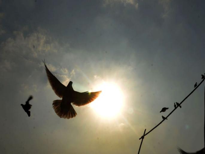 The city's mercury rose; The maximum temperature is 5.5 degrees | शहराचा पारा चढला; कमाल तापमान ३५.८ अंशावर The city's mercury rose; The maximum temperature is 5.5 degrees | शहराचा पारा चढला; कमाल तापमान ३५.८ अंशावर