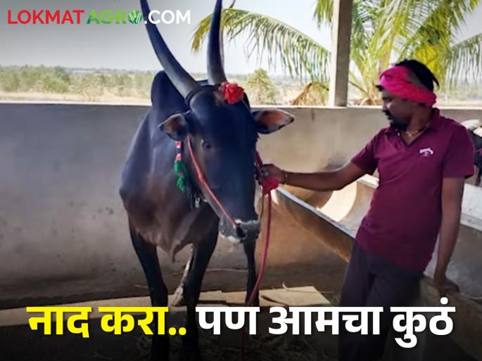 farmers unconditional love; item worth 45 lakhs was brought to the door for the sake of happiness | शेतकऱ्यांचा नाद करायचाच नाय; हौसेखातर ४५ लाखांची ही वस्तू आणली दारात