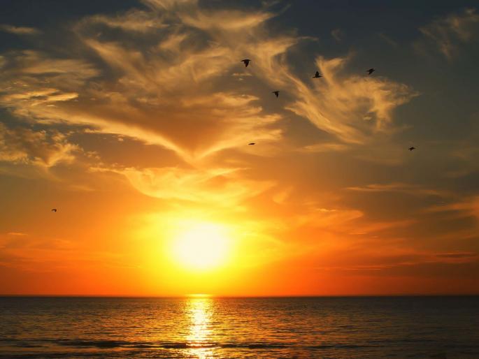 CoronaVirus News: Sunlight causes the annihilation of the corona virus, according to American infectious pathologists | CoronaVirus News: सूर्यप्रकाशामुळे होतो कोरोना विषाणूचा नायनाट, अमेरिकी संसर्गजन्य रोगतज्ज्ञांचे मत CoronaVirus News: Sunlight causes the annihilation of the corona virus, according to American infectious pathologists | CoronaVirus News: सूर्यप्रकाशामुळे होतो कोरोना विषाणूचा नायनाट, अमेरिकी संसर्गजन्य रोगतज्ज्ञांचे मत