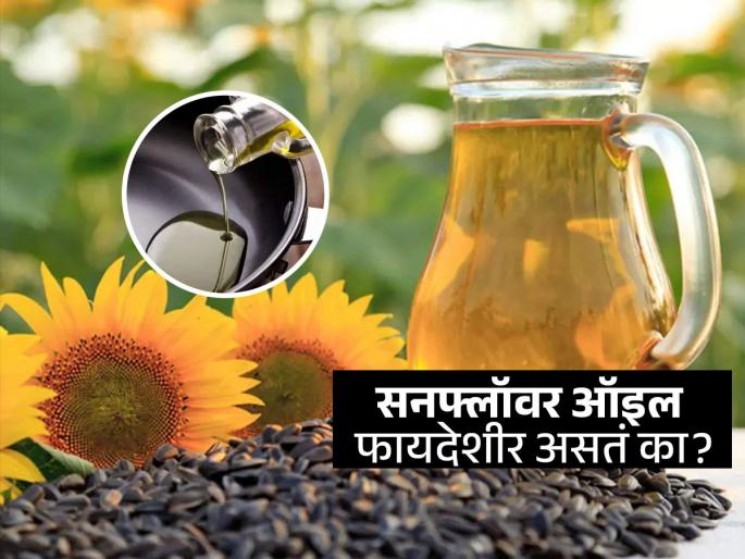 Is sunflower oil Good or Bad for Cooking Know What Expert Says | स्वयंपाकासाठी - पदार्थ तळण्यासाठी सनफ्लॉवर ऑइल चांगलं असतं का? वाचा फायदे आणि त्रासही..