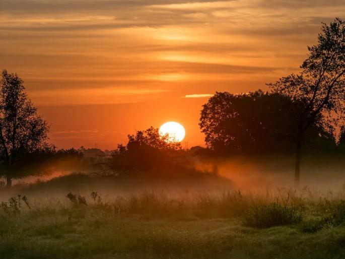 Have you ever watched the sunrise from the gallery window of your own home? feel of watching sunrise and start a good day | स्वत:च्याच घराच्या गॅलरीतून, खिडकीतून तुम्ही कधी पाहिलाय सूर्योदय? काय म्हणता, जगणं तेवढी फुरसतच देत नाही..