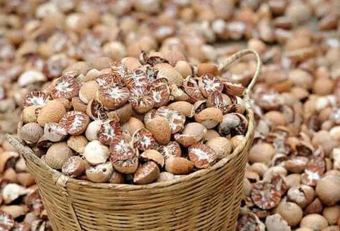 Betel nuts in the dumping yard in the throats of innocents | डम्पिंग यार्डमधील सुपारी जातेय निरपराधांच्या घशात Betel nuts in the dumping yard in the throats of innocents | डम्पिंग यार्डमधील सुपारी जातेय निरपराधांच्या घशात