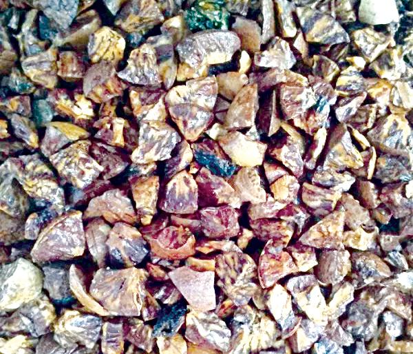 Four crore supari seized | साडेचार कोटींची सुपारी जप्त Four crore supari seized | साडेचार कोटींची सुपारी जप्त