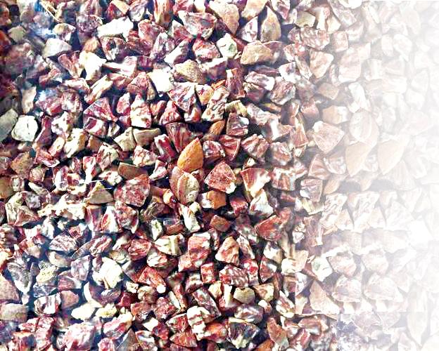 Impressions of the Mumbai team's betel warehouse | मुंबईच्या पथकाचे सुपारी गोदामांवर छापे