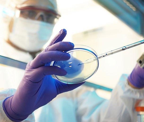 Coronary artery decreased; Four new cases of mucomycosis in Solapur, one died | कोरोनाबाधित घटले; म्युकरमायकोसिसचे सोलापुरात चार नवे रुग्ण, एकाचा मृत्यू