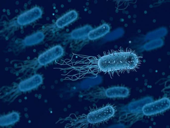Superbug's and effect of antibiotics | योग्य ती काळजी न घेतल्यास जीवघेणे ठरू शकतात हे 'Superbugs' Superbug's and effect of antibiotics | योग्य ती काळजी न घेतल्यास जीवघेणे ठरू शकतात हे 'Superbugs'