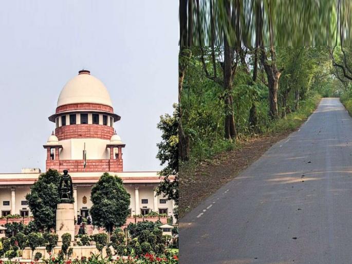 are there any plans to cut down more trees in aarey mumbai goregaon supreme court asks maharashtra government | ‘आरे’तील आणखी झाडे तोडण्याचा विचार आहे का? सर्वोच्च न्यायालयाची सरकारला विचारणा are there any plans to cut down more trees in aarey mumbai goregaon supreme court asks maharashtra government | ‘आरे’तील आणखी झाडे तोडण्याचा विचार आहे का? सर्वोच्च न्यायालयाची सरकारला विचारणा
