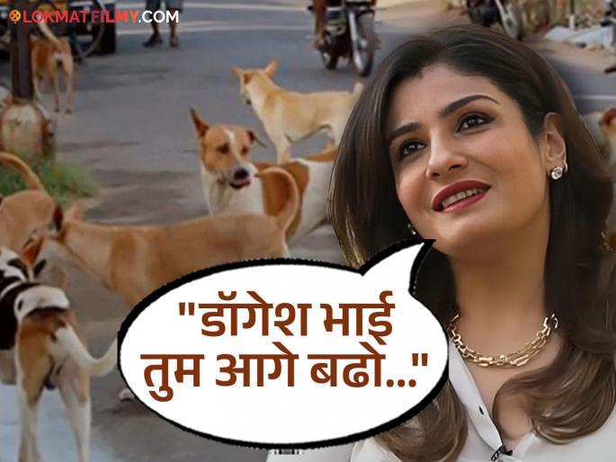 Supreme Court Decision Stray Dogs Raveena Tandon Expresses Happiness | भटक्या कुत्र्यांबाबत सुप्रीम कोर्टाने निर्णय बदलला, रवीना टंडननं व्यक्त केला आनंद Supreme Court Decision Stray Dogs Raveena Tandon Expresses Happiness | भटक्या कुत्र्यांबाबत सुप्रीम कोर्टाने निर्णय बदलला, रवीना टंडननं व्यक्त केला आनंद