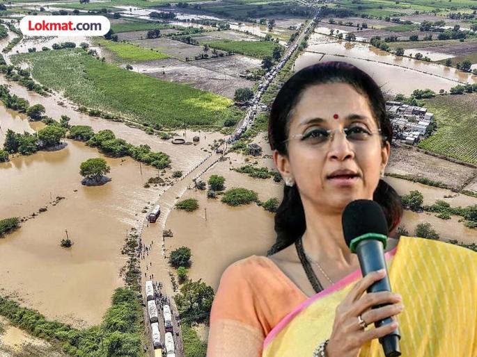 Government is not serious about loan waiver Despite heavy rains Maharashtra government has no proposal says Supriya Sule | 'केंद्र सरकारने सत्य उघडले'; महाराष्ट्र शासनाने कर्जमाफीचा प्रस्तावच पाठवला नाही; सुप्रिया सुळेंची टीका