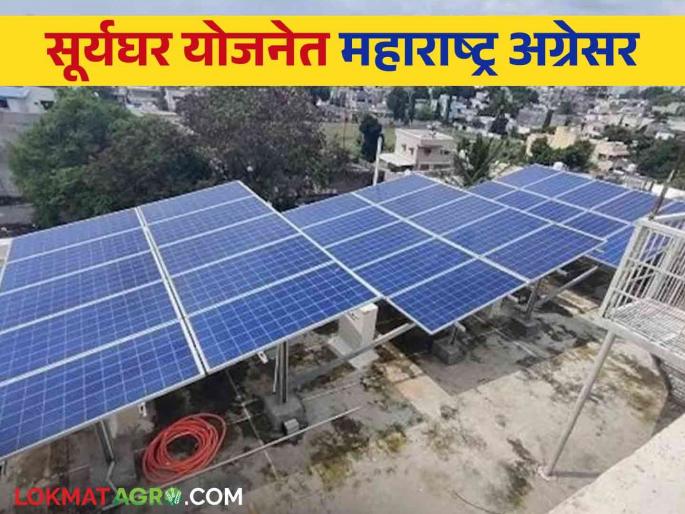 pm surya ghar yojana : The milestone of 100 megawatt power generation in Sury Ghar Yojana is passed  | PM Surya Ghar Yojana : सूर्यघर योजनेत शंभर मेगावॅट वीज निर्मितीचा टप्पा पार  pm surya ghar yojana : The milestone of 100 megawatt power generation in Sury Ghar Yojana is passed  | PM Surya Ghar Yojana : सूर्यघर योजनेत शंभर मेगावॅट वीज निर्मितीचा टप्पा पार