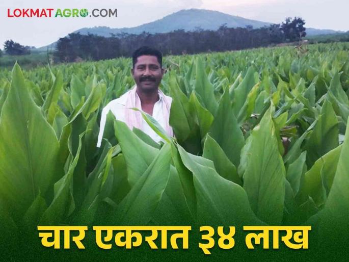 This young farmer made a record by producing turmeric an average of 42 quintals per acre for five consecutive years | सलग पाच वर्षे सरासरी एकरी ४२ क्विंटल हळद उत्पादन घेऊन या युवा शेतकऱ्याने केला विक्रम