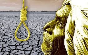 Ten cases of farmer suicides are eligible for help; Six cases ineligible | शेतकरी आत्महत्यांची दहा प्रकरणे मदतीसाठी पात्र; सहा प्रकरणे अपात्र Ten cases of farmer suicides are eligible for help; Six cases ineligible | शेतकरी आत्महत्यांची दहा प्रकरणे मदतीसाठी पात्र; सहा प्रकरणे अपात्र