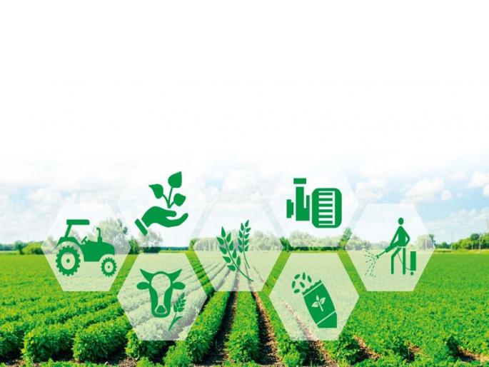 Creative experiment of agriculture | कृषिक्रांतीचा कल्पक प्रयोग Creative experiment of agriculture | कृषिक्रांतीचा कल्पक प्रयोग
