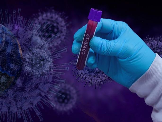 Emphasis on testing for covid death control in Wardha | वर्ध्यात कोविड मृत्यू नियंत्रणासाठी चाचणीवर भर Emphasis on testing for covid death control in Wardha | वर्ध्यात कोविड मृत्यू नियंत्रणासाठी चाचणीवर भर