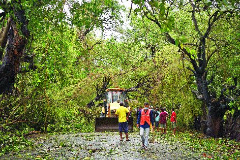 Raigad district is recovering after the blow of 'nature' | ‘निसर्ग’च्या फटक्यानंतर सावरतोय रायगड जिल्हा Raigad district is recovering after the blow of 'nature' | ‘निसर्ग’च्या फटक्यानंतर सावरतोय रायगड जिल्हा