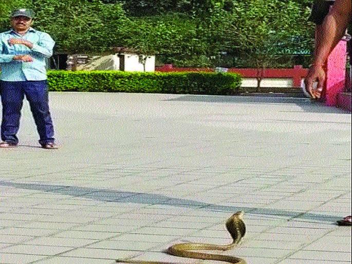 Keys descending to Wonders Park; More than half the toys closed | वंडर्स पार्कला उतरती कळा; निम्याहून अधिक खेळणी बंद Keys descending to Wonders Park; More than half the toys closed | वंडर्स पार्कला उतरती कळा; निम्याहून अधिक खेळणी बंद