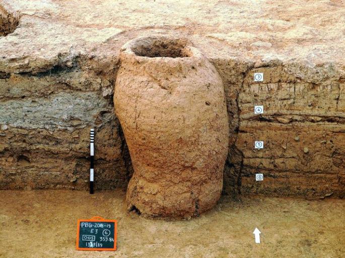In the period of Iron Age, there was a human habitation in western Vidarbha | लोहयुगीन काळात पश्चिम विदर्भात होती मानवी वस्ती