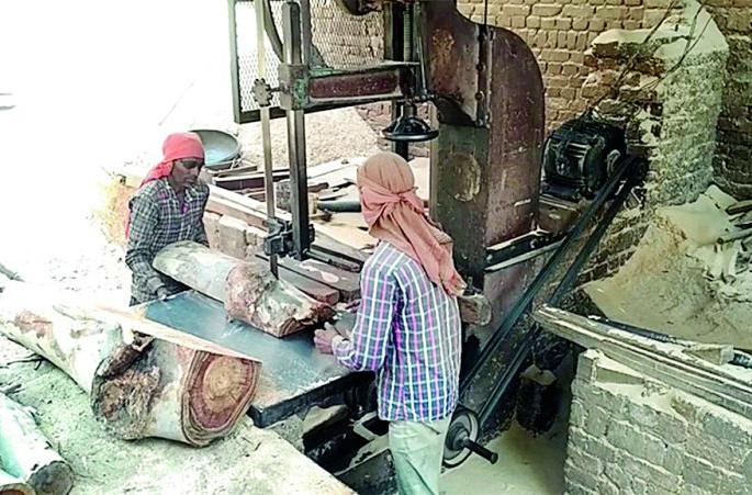 28 Saw Mill in Nagpur unsafe; Five seal orders | नागपुरातील २८ सॉ मिल असुरक्षित; पाचला सील ठोकण्याचे आदेश 28 Saw Mill in Nagpur unsafe; Five seal orders | नागपुरातील २८ सॉ मिल असुरक्षित; पाचला सील ठोकण्याचे आदेश