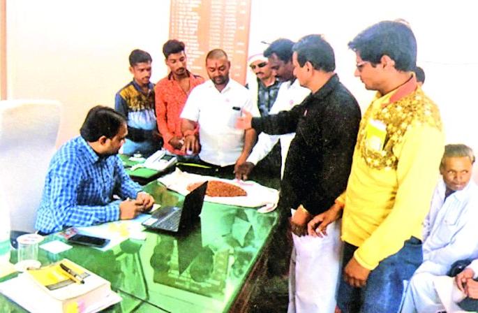 Swabhimani poured ture on the table of District Collector! | जिल्हा उपनिबंधकांच्या टेबलवर ‘स्वाभिमानी’ने ओतली तूर! 