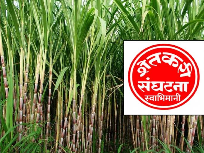 If the sugarcane wants a price, the farmers should wait a little, Appeal of Swabhimani Farmers Association | उसाला दर हवा; शेतकऱ्यांनो जरा थांबा; ‘स्वाभिमानी’चे आवाहन  If the sugarcane wants a price, the farmers should wait a little, Appeal of Swabhimani Farmers Association | उसाला दर हवा; शेतकऱ्यांनो जरा थांबा; ‘स्वाभिमानी’चे आवाहन