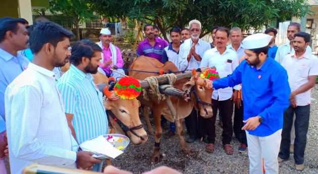 Swabhimani Shetkari Sanghatana worship bulls and plough | स्वाभीमानी शेतकरी संघटनेकडून बैलजोडी, नांगराची पूजा Swabhimani Shetkari Sanghatana worship bulls and plough | स्वाभीमानी शेतकरी संघटनेकडून बैलजोडी, नांगराची पूजा