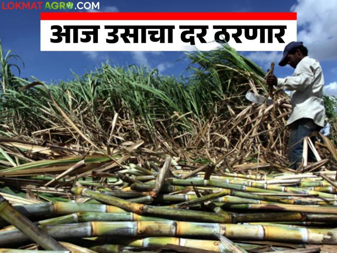 The first FRP installment of sugarcane will be announced today; demand is likely to be at least Rs 3600 per ton | उसाच्या पहिल्या उचलीचा आकडा आज ठरणार; प्रतिटन किमान ३६०० रुपये मागणीची शक्यता