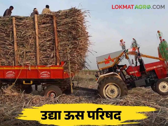Swabhimani us parishad : 23rd sugarcane council of Swabhimani tomorrow, attention of farmers towards the decision | Swabhimani Us Parishad : स्वाभिमानी ची उद्या २३ वी ऊस परिषद शेतकऱ्यांचे निर्णयाकडे लक्ष Swabhimani us parishad : 23rd sugarcane council of Swabhimani tomorrow, attention of farmers towards the decision | Swabhimani Us Parishad : स्वाभिमानी ची उद्या २३ वी ऊस परिषद शेतकऱ्यांचे निर्णयाकडे लक्ष