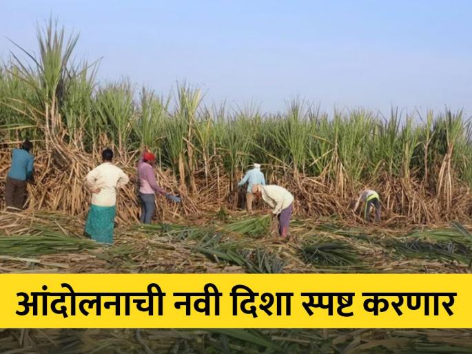 tomorrow swabhimani sanghatana sugarcane conference in Jaysingpur | जयसिंगपुरात स्वाभिमानीची उद्या ऊस परिषद tomorrow swabhimani sanghatana sugarcane conference in Jaysingpur | जयसिंगपुरात स्वाभिमानीची उद्या ऊस परिषद