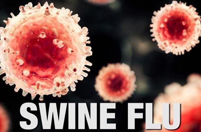 Swine flu is growing in Nagpur! | नागपुरात  स्वाईन फ्लू वाढतोय!
