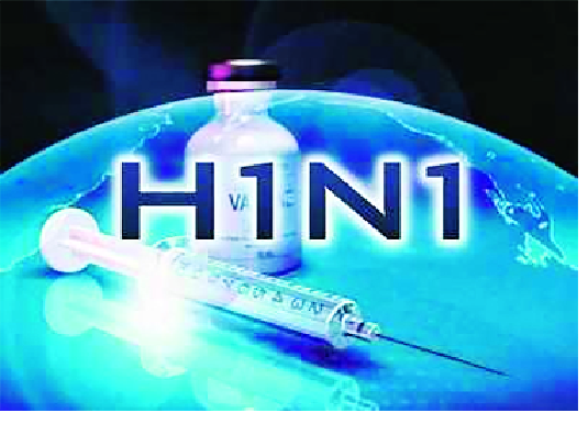 Swine flu infection in the district: - In five months, 115 suspects and 47 are self-linked | जिल्ह्यात स्वाईन फ्लूची लागण -: पाच महिन्यांत ११५ संशयित, तर ४७ स्वाईनबाधित Swine flu infection in the district: - In five months, 115 suspects and 47 are self-linked | जिल्ह्यात स्वाईन फ्लूची लागण -: पाच महिन्यांत ११५ संशयित, तर ४७ स्वाईनबाधित