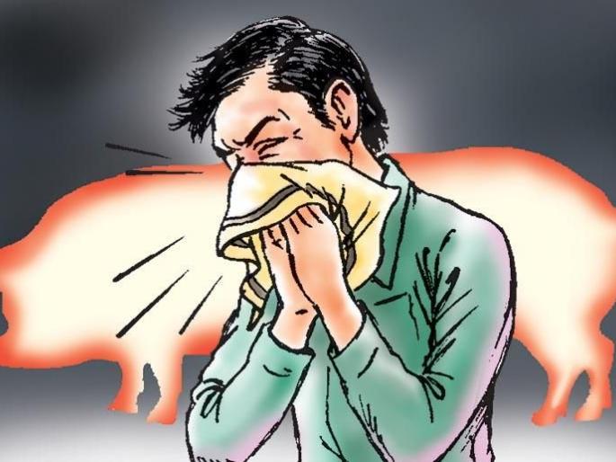 Figures from the state: Death of 199 patients due to swine flu | राज्यातील आकडेवारी : स्वाईन फ्लूमुळे १९९ रुग्णांचा मृत्यू Figures from the state: Death of 199 patients due to swine flu | राज्यातील आकडेवारी : स्वाईन फ्लूमुळे १९९ रुग्णांचा मृत्यू