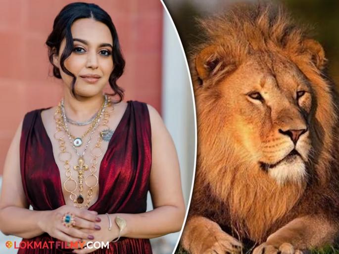 swara bhasker tweet on sita and akbar name lion lioness controversy goes viral | सिंहाचा लव्ह जिहाद! सीता आणि अकबर नावाच्या सिंहाला एकत्र ठेवण्यावरुन वाद; स्वरा भास्कर ट्वीट करत म्हणाली... swara bhasker tweet on sita and akbar name lion lioness controversy goes viral | सिंहाचा लव्ह जिहाद! सीता आणि अकबर नावाच्या सिंहाला एकत्र ठेवण्यावरुन वाद; स्वरा भास्कर ट्वीट करत म्हणाली...