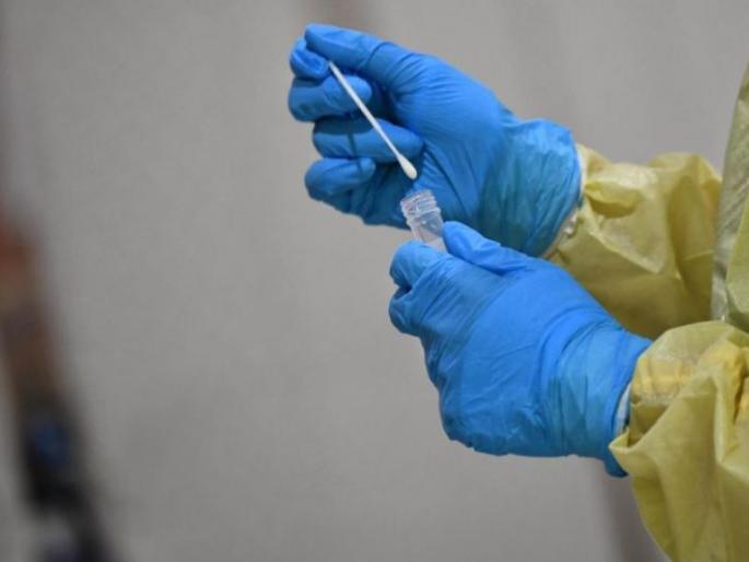 Fungus in swab samples taken for ‘RTPCR’ testing | आरटीपीसीआर चाचणीसाठी घेण्यात आलेल्या स्वॅब नमुन्यांमध्ये बुरशी Fungus in swab samples taken for ‘RTPCR’ testing | आरटीपीसीआर चाचणीसाठी घेण्यात आलेल्या स्वॅब नमुन्यांमध्ये बुरशी