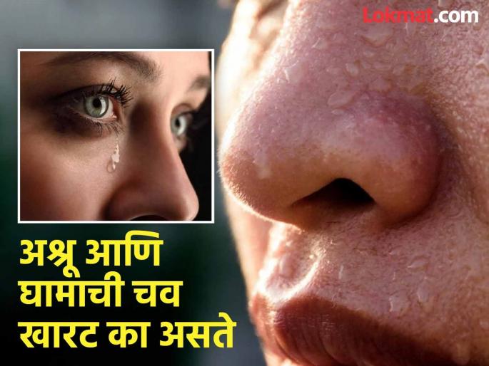 Why are tears and sweat test salty, you should know the reason | डोळ्यातील अश्रू आणि शरीराच्या घामाची चव खारट का असते, शरीरात मीठ तयार होतं का? जाणून घ्या Why are tears and sweat test salty, you should know the reason | डोळ्यातील अश्रू आणि शरीराच्या घामाची चव खारट का असते, शरीरात मीठ तयार होतं का? जाणून घ्या