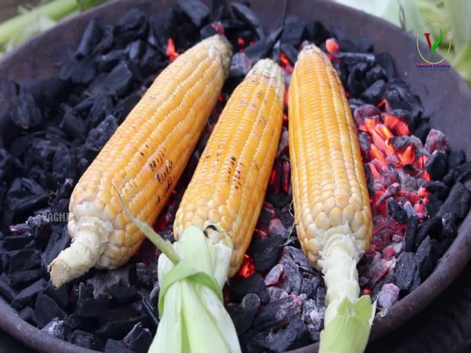 sweetcorn demands is increased in the start rain ..! | पावसाळा सुरु होताच ‘स्वीटकॉर्न’ ची मागणी वाढली..! sweetcorn demands is increased in the start rain ..! | पावसाळा सुरु होताच ‘स्वीटकॉर्न’ ची मागणी वाढली..!