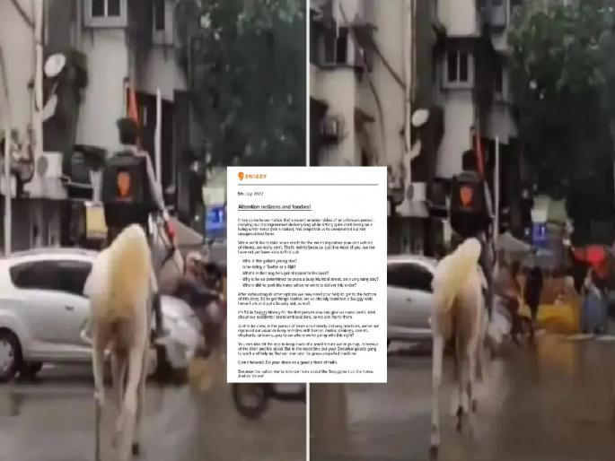 Viral Swiggy Boy: Swiggy delivery boy delivering packet on Horse in heavy rain | Viral Swiggy Boy: मुसळधार पावसात घोड्यावरुन डिलिव्हरी; स्विगीचा 'तो' डिलिव्हरी बॉय चर्चेत Viral Swiggy Boy: Swiggy delivery boy delivering packet on Horse in heavy rain | Viral Swiggy Boy: मुसळधार पावसात घोड्यावरुन डिलिव्हरी; स्विगीचा 'तो' डिलिव्हरी बॉय चर्चेत