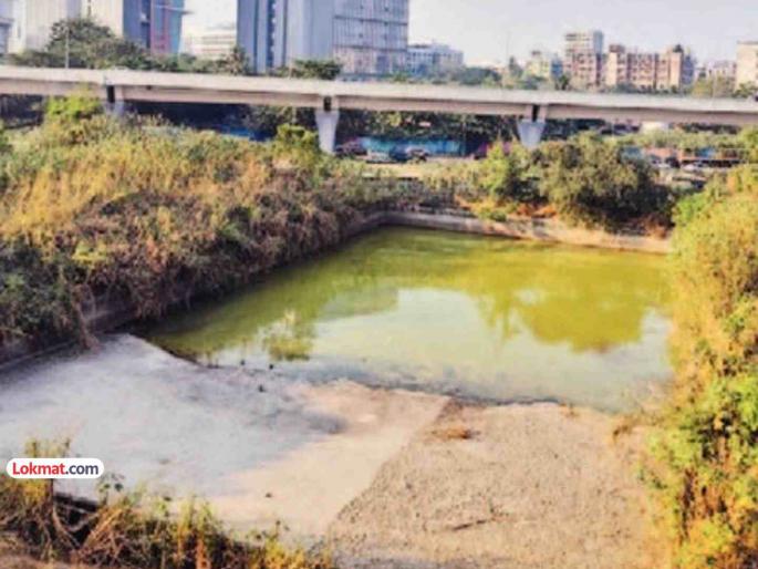 Shocking reality! Check out the 'swimming pool' in Mumbai University's sports complex | धक्कादायक वास्तव! हा बघा मुंबई विद्यापीठाच्या क्रीडा संकुलातील ‘जलतरण तलाव’ Shocking reality! Check out the 'swimming pool' in Mumbai University's sports complex | धक्कादायक वास्तव! हा बघा मुंबई विद्यापीठाच्या क्रीडा संकुलातील ‘जलतरण तलाव’