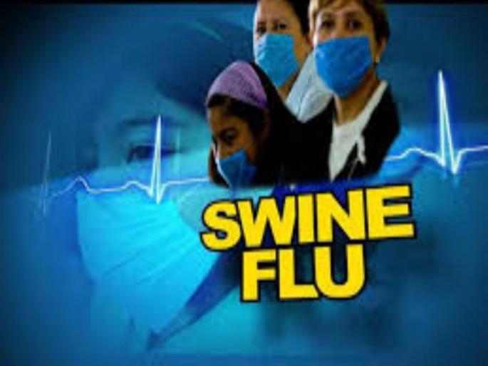 Swine flu, Dengue has killed hundreds of victims so far | पुण्यात स्वाइन फ्लूू, डेंग्यूने घेतलेत आतापर्यंत शेकडो बळी; टीबीमुळे सर्वाधिक मृत्यू Swine flu, Dengue has killed hundreds of victims so far | पुण्यात स्वाइन फ्लूू, डेंग्यूने घेतलेत आतापर्यंत शेकडो बळी; टीबीमुळे सर्वाधिक मृत्यू