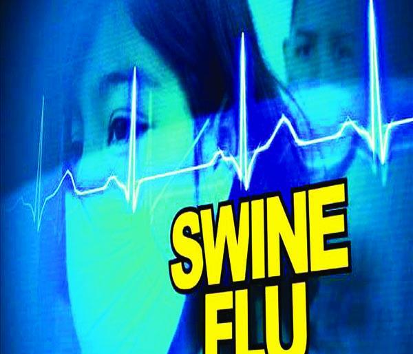  Nine swine flu suspected | नऊ स्वाइन फ्लू संशयित
