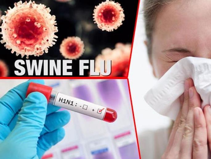 Two infected with swine flu in Nashik; Datli woman dies | नाशकात दोघांना स्वाईन फ्लूची लागण; दातलीच्या महिलेला मृत्यू Two infected with swine flu in Nashik; Datli woman dies | नाशकात दोघांना स्वाईन फ्लूची लागण; दातलीच्या महिलेला मृत्यू