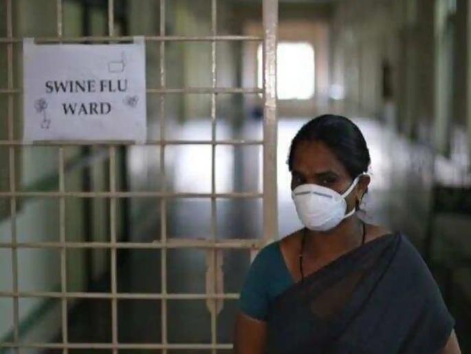204 death because of swine flu in ten months in the maharashtra | राज्यात दहा महिन्यात स्वाईन फ्लूचे २०४ बळी 204 death because of swine flu in ten months in the maharashtra | राज्यात दहा महिन्यात स्वाईन फ्लूचे २०४ बळी