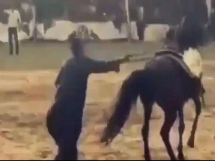 The horse kicked the person dancing and then something like this happened ips said request the horse | Video : डान्स करता करता मालकाला घोड्यानं मारली लात; फटका बसताच मालकानं केलं असं काही.... The horse kicked the person dancing and then something like this happened ips said request the horse | Video : डान्स करता करता मालकाला घोड्यानं मारली लात; फटका बसताच मालकानं केलं असं काही....