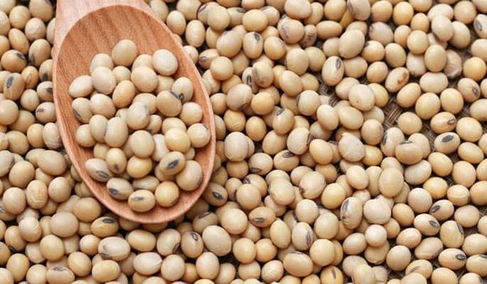 Soybean seed shortage in Washim district! | वाशिम जिल्ह्यात सोयाबिन बियाण्याचा तुटवडा! Soybean seed shortage in Washim district! | वाशिम जिल्ह्यात सोयाबिन बियाण्याचा तुटवडा!
