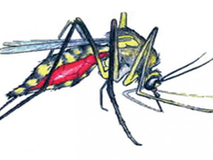 Dengue student's death; Six victims in two months | डेंग्यूने विद्यार्थ्याचा मृत्यू; दोन महिन्यांत सहा बळी Dengue student's death; Six victims in two months | डेंग्यूने विद्यार्थ्याचा मृत्यू; दोन महिन्यांत सहा बळी