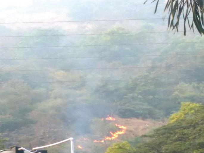 Forest deforestation; Forest Department alert with locals | उपवनच्या जंगलातील वणवा आटोक्यात; स्थानिकांसह वनविभागाची सतर्कता Forest deforestation; Forest Department alert with locals | उपवनच्या जंगलातील वणवा आटोक्यात; स्थानिकांसह वनविभागाची सतर्कता