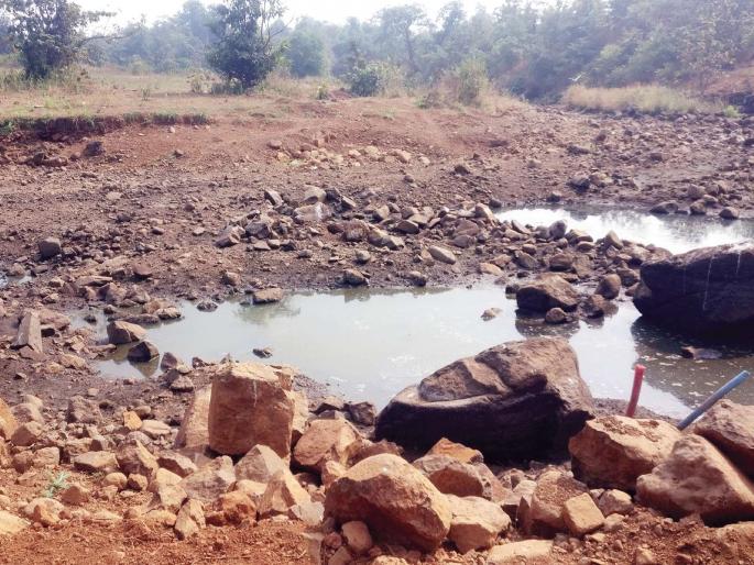 The trees were cut off, the water was extinguished! Out-of-bounds work by the Prosperity Highway contractor | झाडे कापली, पाणवठे बुजवले! समृद्धी महामार्गाच्या ठेकेदाराकडून नियमबाह्य काम The trees were cut off, the water was extinguished! Out-of-bounds work by the Prosperity Highway contractor | झाडे कापली, पाणवठे बुजवले! समृद्धी महामार्गाच्या ठेकेदाराकडून नियमबाह्य काम