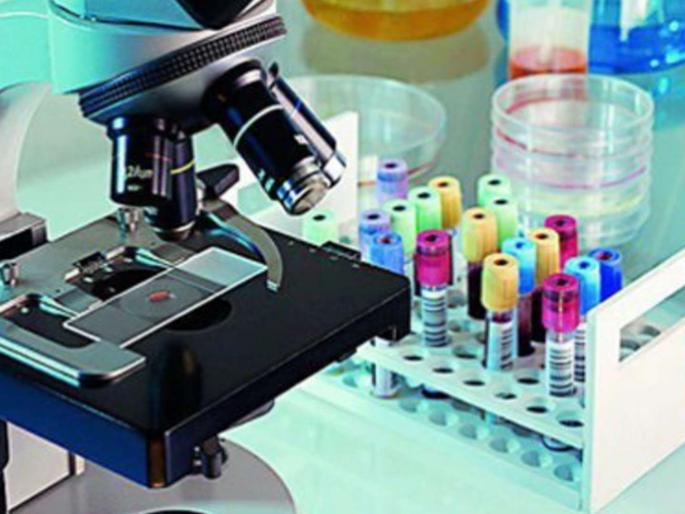 Headmasters will not be able to attend laboratory assistants | प्रयोगशाळा सहायकांना हजर करून न घेणे मुख्याध्यापकांना पडणार महागात Headmasters will not be able to attend laboratory assistants | प्रयोगशाळा सहायकांना हजर करून न घेणे मुख्याध्यापकांना पडणार महागात