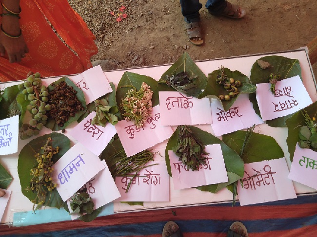 Due to the warm grapes, the sweetness of the litter has increased | चविष्ट रानभाज्यांमुळे वाढला पंगतीचा गोडवा Due to the warm grapes, the sweetness of the litter has increased | चविष्ट रानभाज्यांमुळे वाढला पंगतीचा गोडवा