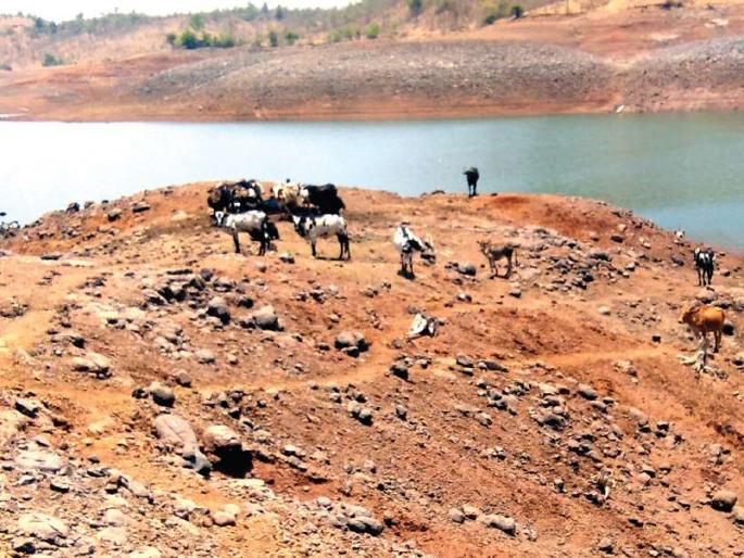Water trough; Tanker supply is inadequate | पाण्यासाठी करतात पायपीट; टँकरचा पुरवठा अपुरा Water trough; Tanker supply is inadequate | पाण्यासाठी करतात पायपीट; टँकरचा पुरवठा अपुरा
